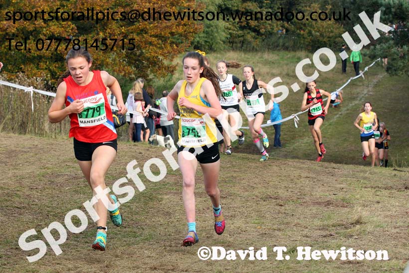Girls under-15s, National Cross Country Relays, Berry Park, Mansfield. Photo: David T. Hewitson/Sports for All Pics